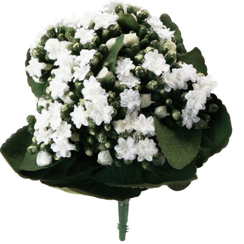 Article Kalanchoe artificiel Flaming Käthchen Blanc 24cm