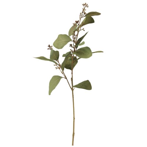 Article Branche d&#39;eucalyptus branche décorative artificielle branche artificielle verte 60cm