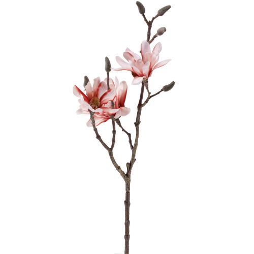 Floristik24 Branche de magnolia magnolia saumon artificiel 58cm