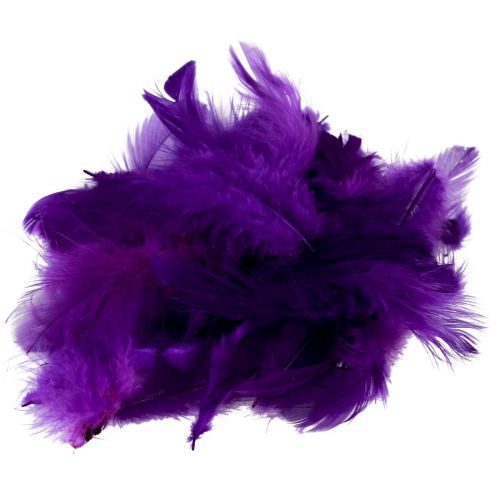 Floristik24 Plumes décoratives petites plumes d&#39;oiseaux véritables décoratives violet 5-10cm 10g