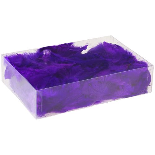 Article Plumes décoratives petites plumes d'oiseaux véritables décoratives violet 5-10cm 10g