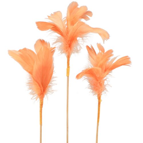 Floristik24 Plumes décoratives plumes d&#39;oiseaux orange sur bâton 36cm 12 pcs