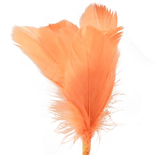 Article Plumes décoratives plumes d&#39;oiseaux orange sur bâton 36cm 12 pcs