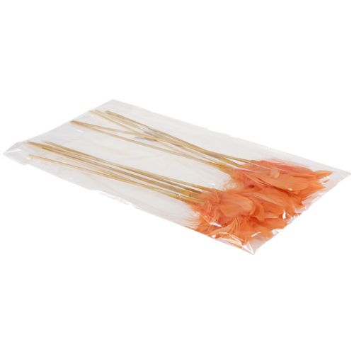 Article Plumes décoratives plumes d&#39;oiseaux orange sur bâton 36cm 12 pcs