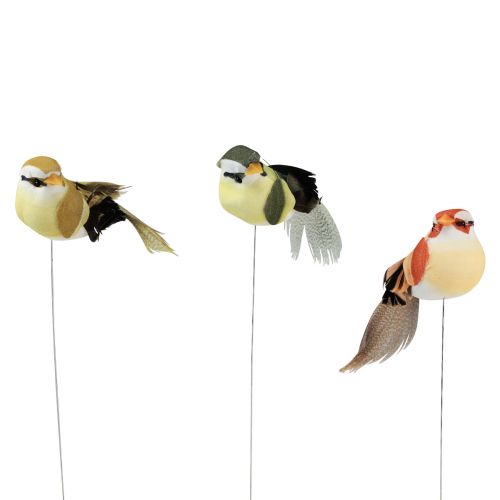 Floristik24 Oiseau en plumes sur fil oiseau décoratif avec plumes vert 4cm 12pcs