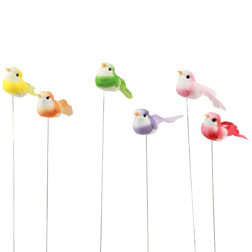Floristik24 Oiseau en plumes sur fil, oiseau décoratif avec plumes colorées 2,5cm 24 pcs