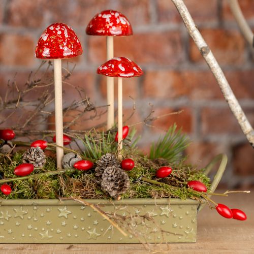 Floristik24 Champignons vénéneux sur bâton, rouge, 4 cm, lot de 6 - champignons de jardin décoratifs pour la décoration d'automne