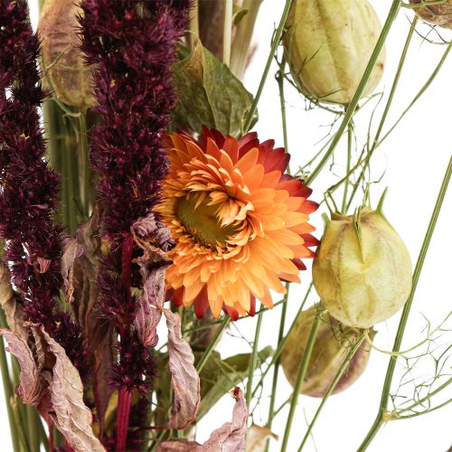 Floristik24 Bouquet de fleurs séchées paille fleurs orange violet 55cm 70g