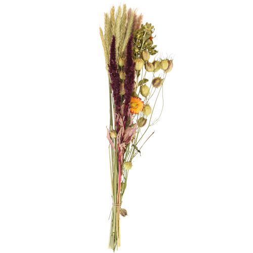 Floristik24 Bouquet de fleurs séchées paille fleurs orange violet 55cm 70g