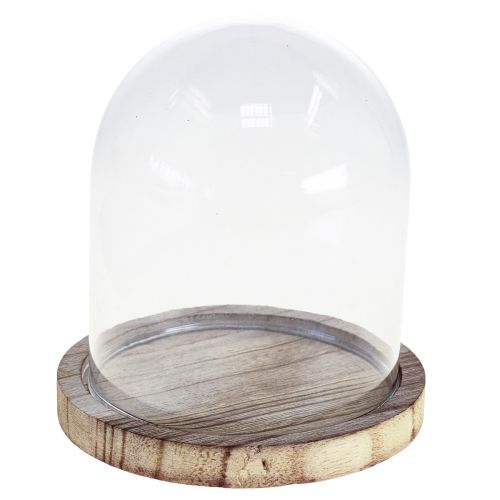 Floristik24 Cloche en verre décoration assiette en bois décoration de table mini cloche à fromage H13cm