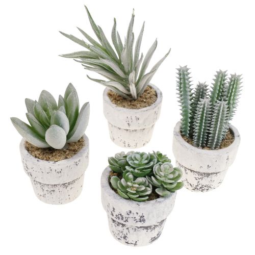 Floristik24 Succulentes artificielles en pot plantes artificielles vertes Ø4cm 12pcs
