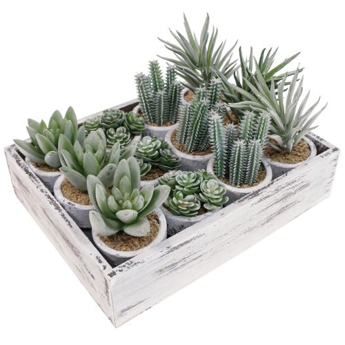 Floristik24 Succulentes artificielles en pot plantes artificielles vertes Ø4cm 12pcs