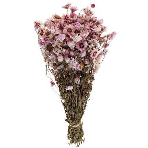 Floristik24 Paille fleurs fleurs séchées blanc rose 20-35cm bouquet 40g