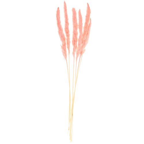 Article Décoration d'herbe de pampa, herbe de pampa séchée herbe de pampa rose 72cm 6 pcs