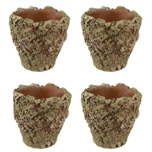 Article Cache-pot rustique aspect mousse Ø17cm H16,5cm 4pcs