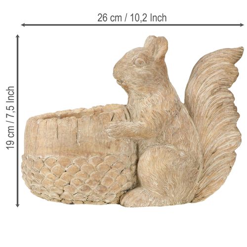 Article Jardinière en pierre reconstituée avec décor d'écureuil 26×14×19cm