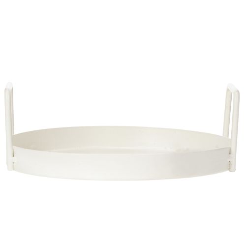 Article Plateau de plantation polyvalent pour la maison et le jardin, 18 cm