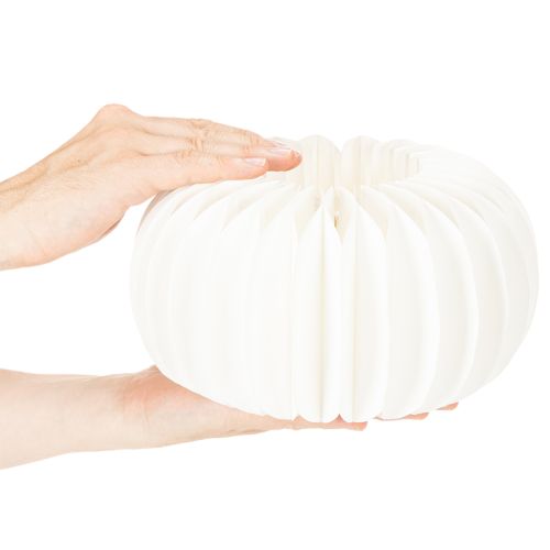 Anneaux en papier alvéolé en forme de citrouille, ronds, de grande taille (24 cm), pour fleurs séchées et décorations d'automne (lot de 4). | Floristik24.be