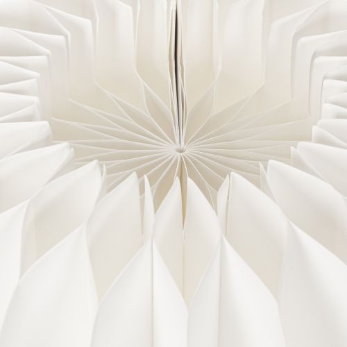 Anneaux en papier alvéolé en forme de citrouille, ronds, de grande taille (24 cm), pour fleurs séchées et décorations d'automne (lot de 4). | Floristik24.be