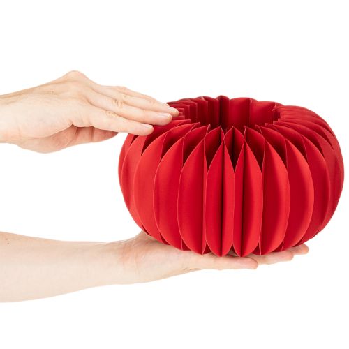 Décoration de table moderne ronde en papier alvéolé, citrouille, 24 cm, lot de 4 | Floristik24.be