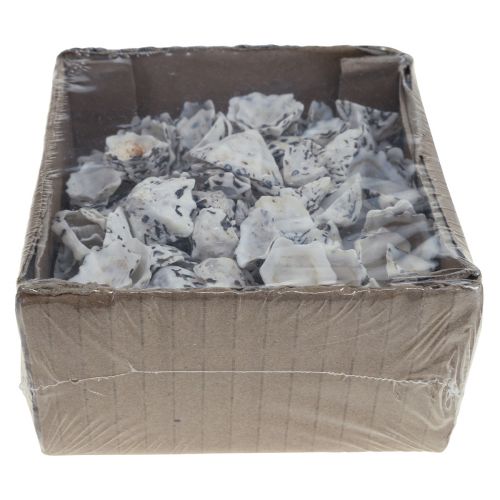 Floristik24 Coquillage Déco Coquillages Blanc Noir Petit 1-2.5cm 250g