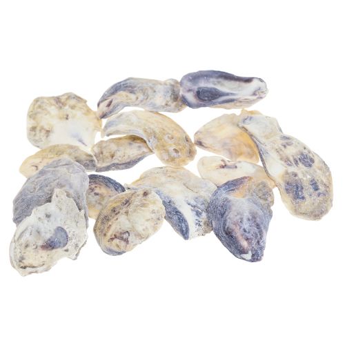 Floristik24 Déco coquilles d&#39;huîtres déco coquilles naturel 2-6cm 250g
