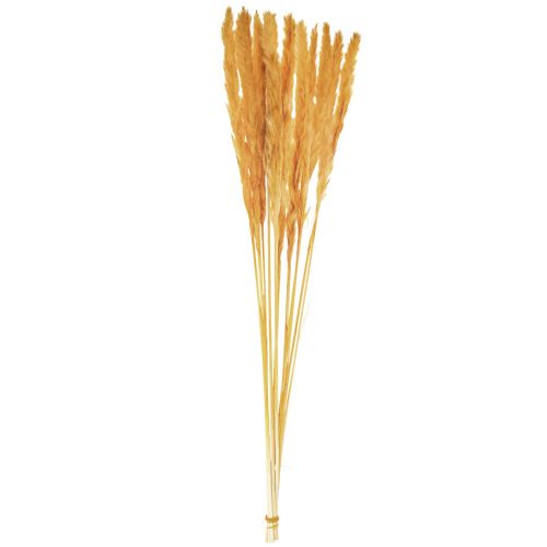 Article Décoration d'herbe de pampa, herbe de pampa séchée herbe de pampa jaune 74cm 10 pièces