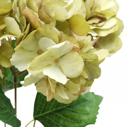 Floristik24 Bouquet d'hortensias artificiels vert, marron 5 fleurs 48cm