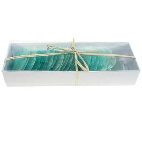 Floristik24 Coquilles de Capiz, disques de Capiz, disques de nacre turquoise 6,5–9,5cm 650g