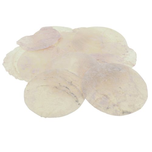 Coquillages Capiz disques nacre déco coquillages rose clair Ø8cm