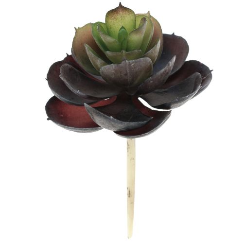 Plantes Vertes Artificielles Succulentes Echeveria Ø7cm 12cm 6 pcs