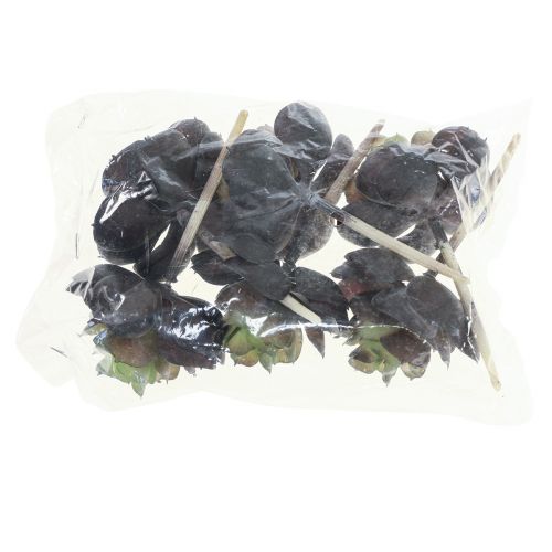 Article Plantes Vertes Artificielles Succulentes Echeveria Ø7cm 12cm 6 pcs