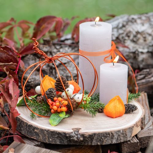 Tranche de bois décoratif naturel en paulownia de Ø20-25 cm | Floristik24.be