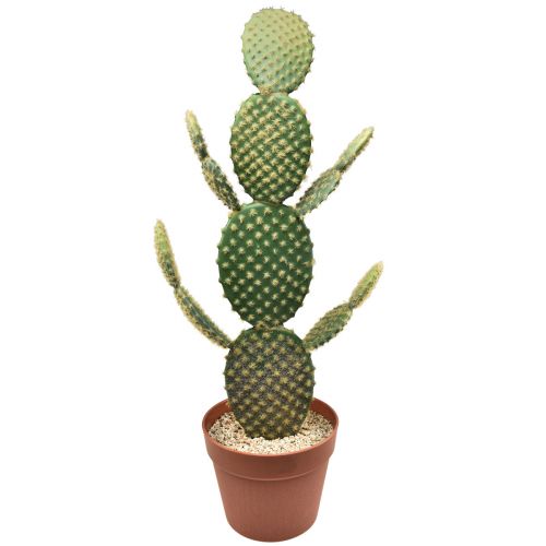 Floristik24 Cactus décoratif plante artificielle en pot figue de Barbarie 64cm