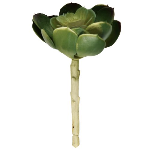 Plante artificielle succulente Echeveria artificielle Ø7cm