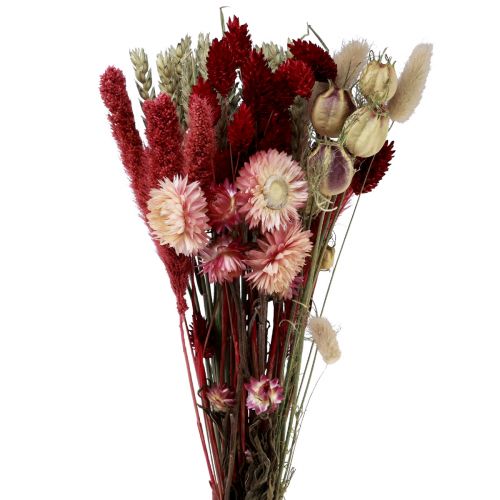 Bouquet de fleurs séchées fleurs de paille Phalaris rouge 30cm