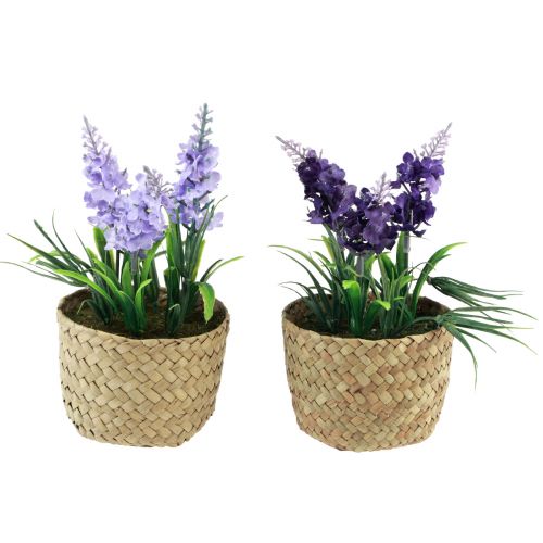 Article Jacinthe artificielle en pot jonc de mer bleu violet 16/17cm 2pcs