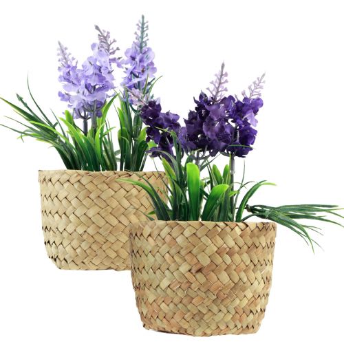 Floristik24 Jacinthe artificielle en pot jonc de mer bleu violet 16/17cm 2pcs