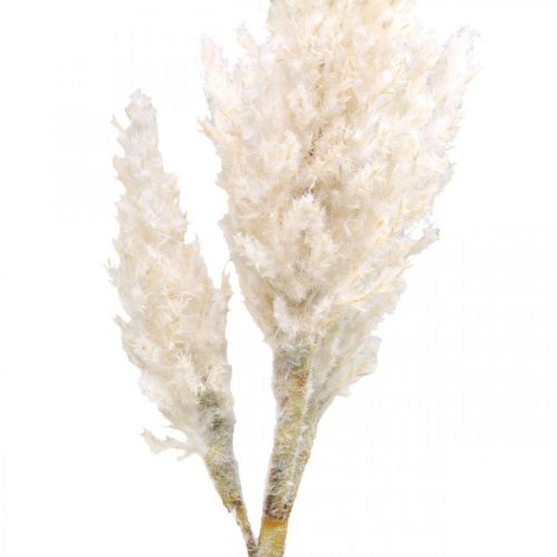 Floristik24 Herbe de pampa blanche crème gazon sec artificiel décoration 82cm