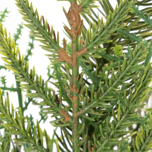Branche de sapin artificielle pour décoration festive, 22 cm, 2 pièces | Floristik24.be