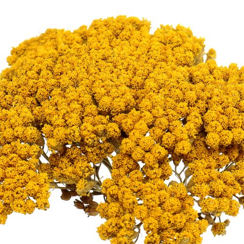 Article Achillée 500g nature