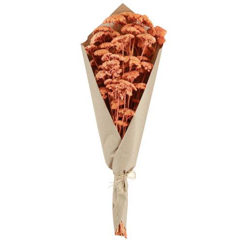 Article Achillée millefeuille fleurs des prés séchées saumon 40-50cm 80g
