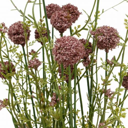 Floristik24 Artificielle Craspedia Violet Drumstick Fleurs Artificielles 3pcs