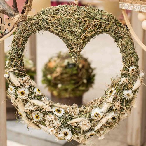 Floristik24 Acroclinium Blanc, plantes sèches, fleurs paille, fleuriste sèche L20–40cm 25g