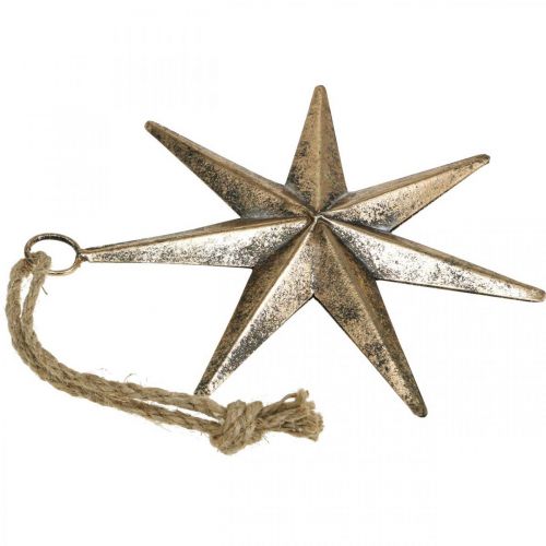 Floristik24 Décoration de Noël pendentif étoile doré aspect vieilli L19,5 cm