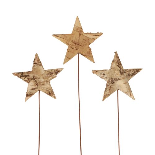 Floristik24 Étoiles décoratives à coller sur écorce d&#39;arbre étoiles de décoration Avent 22cm 24 pcs