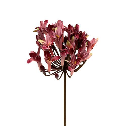 Floristik24 Agapanthe artificiel rouge foncé L75cm 3pcs