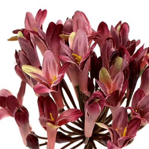 Article Agapanthe artificiel rouge foncé L75cm 3pcs