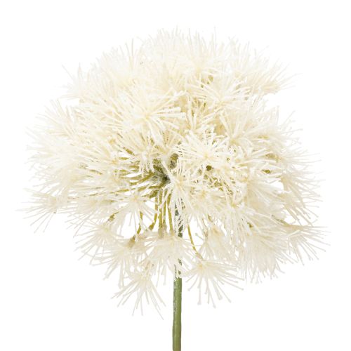 Floristik24 Allium artificiel, design délicat pour l'intérieur, 68 cm