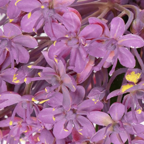 Article Fleur d'ail artificielle, oignon ornemental, décoration élégante pour la chambre, 90 cm